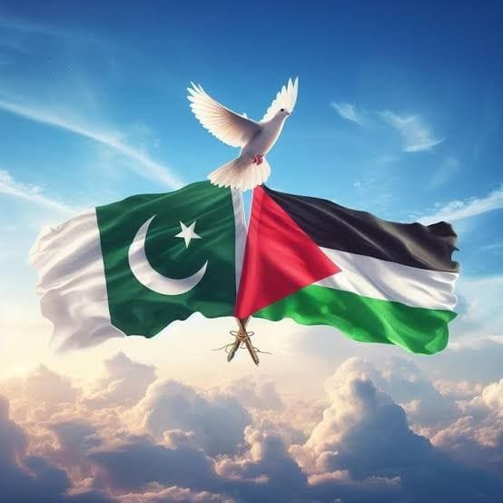 Massa di Pakistan melakukan aksi solidaritas mendukung kemanusiaan di Gaza