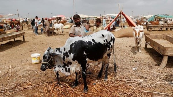Sebuah keluarga Muslim di Pakistan sedang berkumpul merayakan Idul Adha dengan hidangan dan suasana kekeluargaan