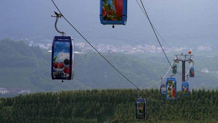 Kereta Gantung Apel Dolomites Jadi Ikon Baru Pertanian Ramah Lingkungan Italia