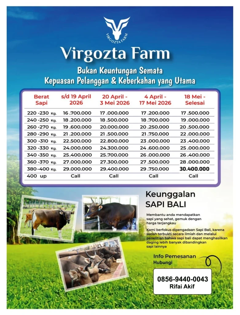 harga daging sapi 2026