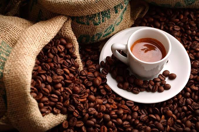 1. Fakta yang Bikin Dunia Kaget Kopi Gayo Mendunia