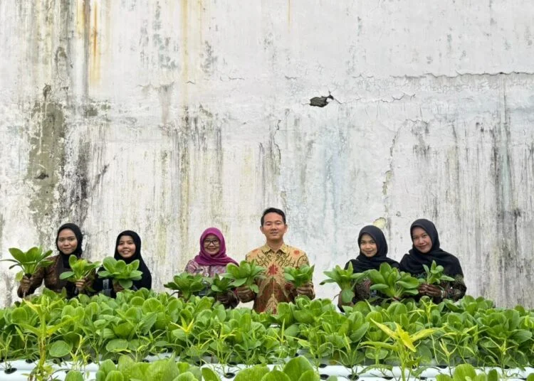 Bengkulu Kaya Hasil Pertanian, Tapi Petani Masih Sulit Hidup? Fakta Mengejutkan