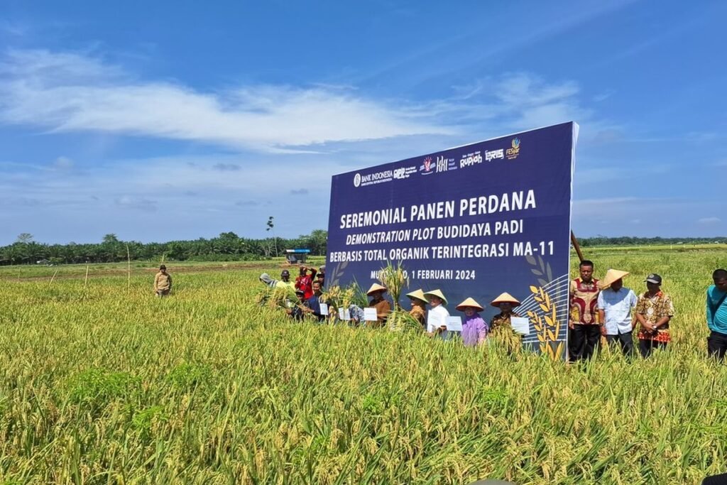 Bisnis Pertanian Bengkulu: Peluang Besar yang Jarang Dilirik, Ini Faktanya