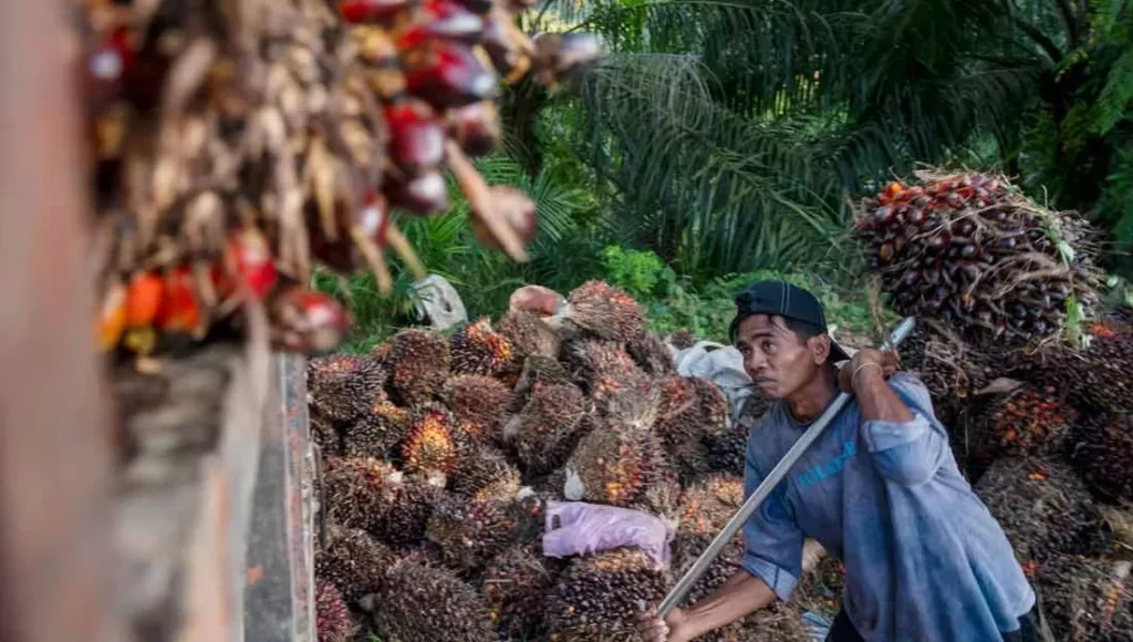 Potensi Bisnis Jambi yang Selama Ini Disembunyikan dari Publik