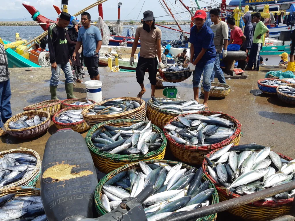Bisnis Perikanan Aceh: 3 Fakta Peluang Triliunan yang Masih Terabaikan