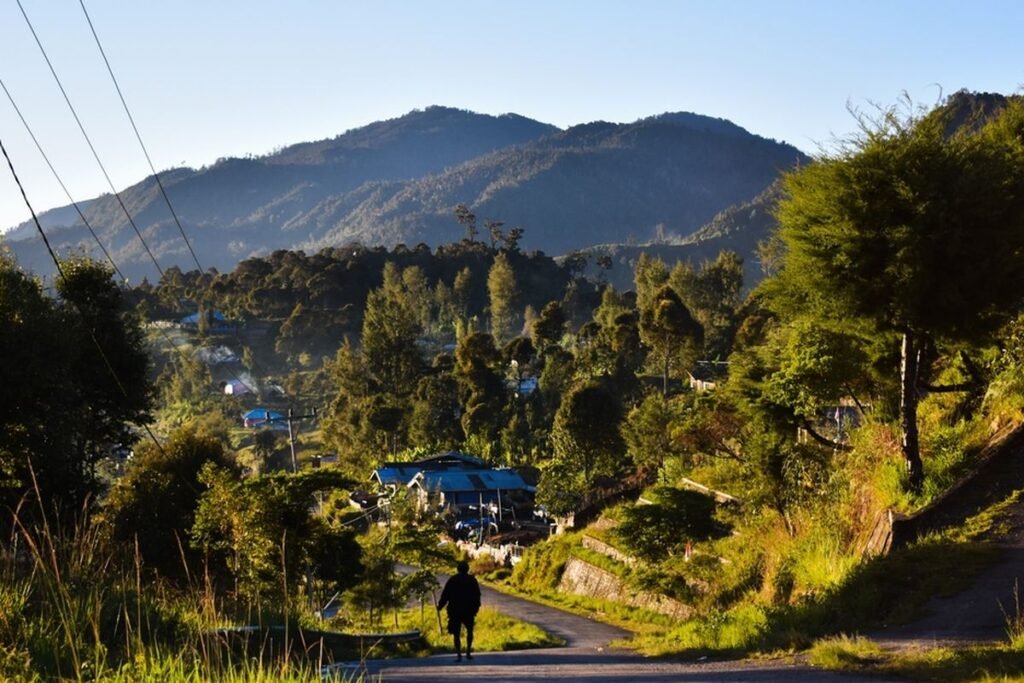 Potensi Bisnis Papua Tengah: 3 Peluang Besar yang Mulai Dilirik Investor