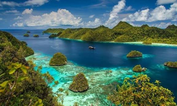 Potensi Bisnis Papua Selatan: 3 Peluang Besar yang Mulai Dilirik Investor