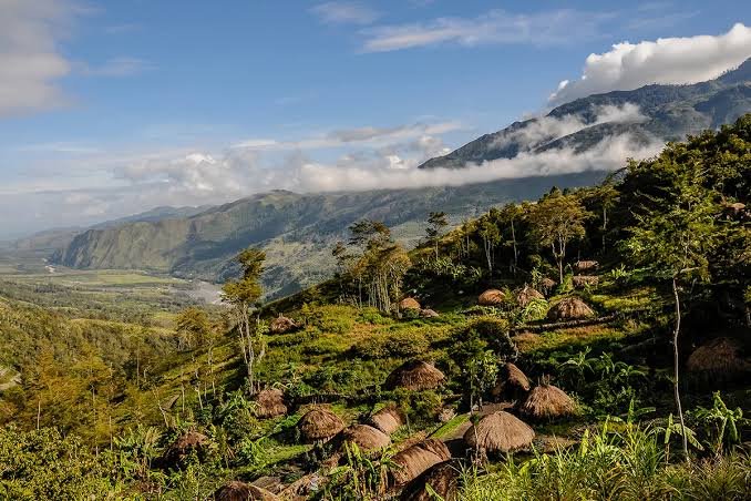 Potensi Bisnis Papua Barat Daya: 7 Peluang Besar yang Mulai Dilirik Investor