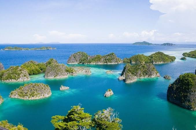 Potensi Bisnis Papua Barat: 3 Peluang Besar dari Kekayaan Alam Dunia