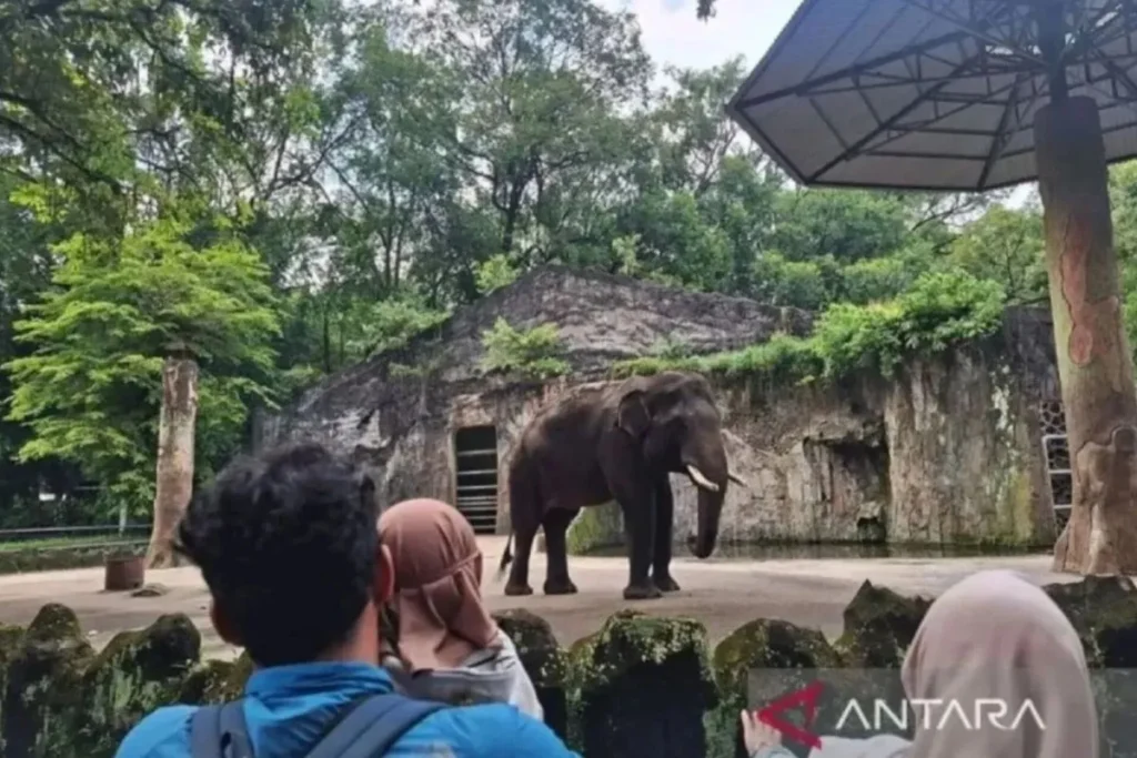 tiket masuk ragunan