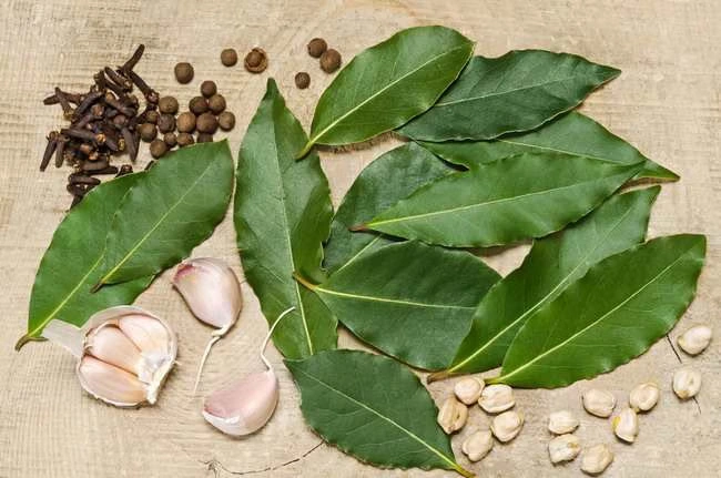 manfaat daun salam