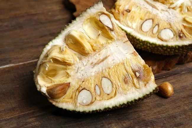 manfaat cempedak