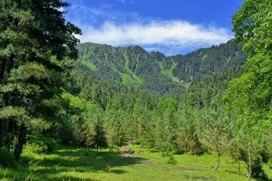 Wisata Alam Lahore