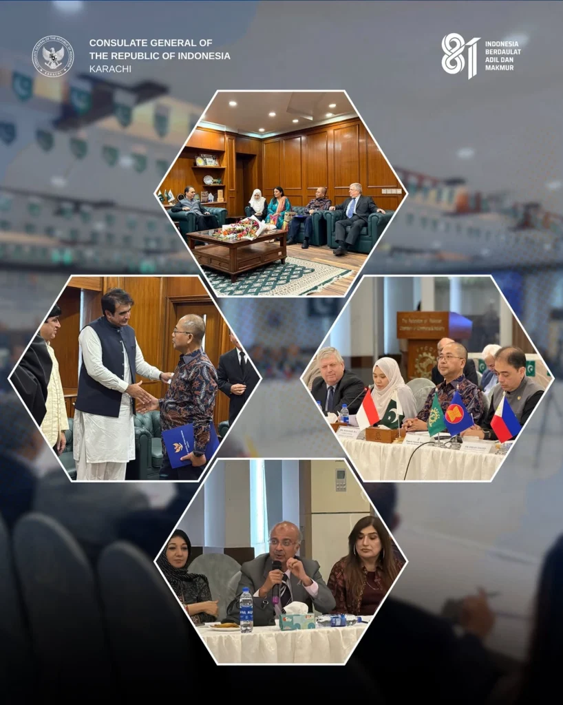 kemitraan ekonomi pakistan-asean