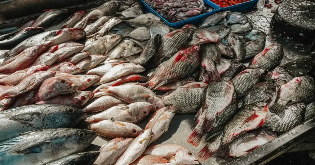 konsumsi ikan tertinggi
