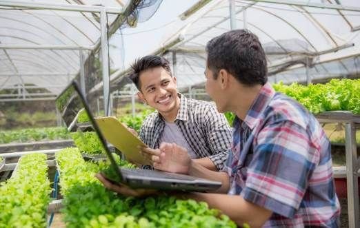 3 Cara Mengubah Komoditas Indonesia Jadi Bisnis