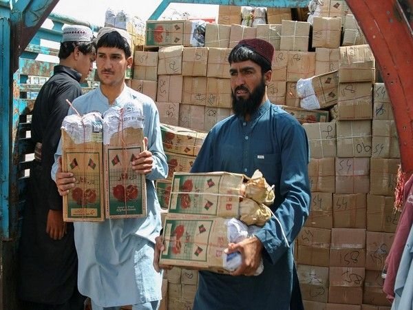 3 Alasan Dagang Indonesia–Pakistan Makin Sulit Diabaikan