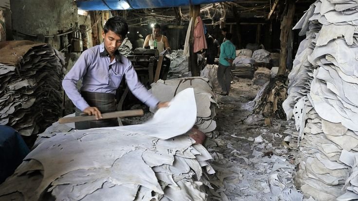 7 Peluang Bisnis Kulit Pakistan yang Mulai Dilirik