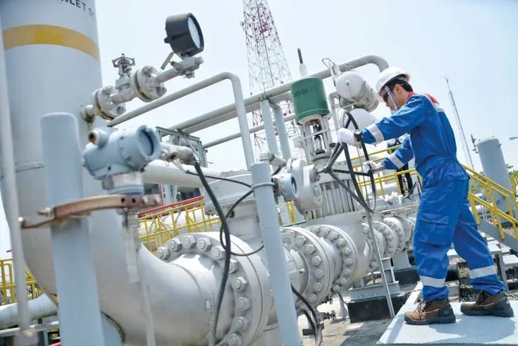 bisnis energi terbarukan indonesia