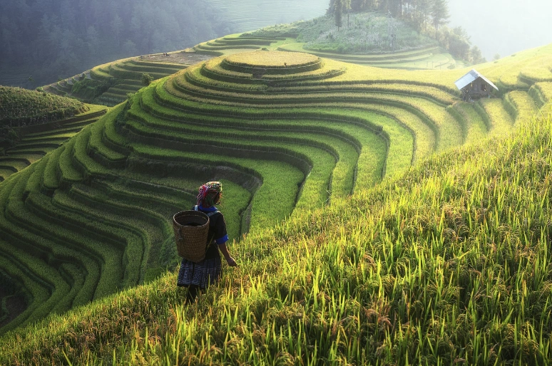 Sistem Subak Bali