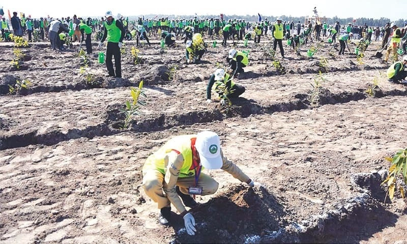 Ten Billion Tree Tsunami Pakistan