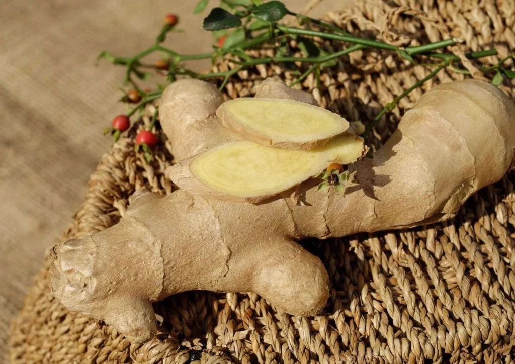 herbal Indonesia suara serak