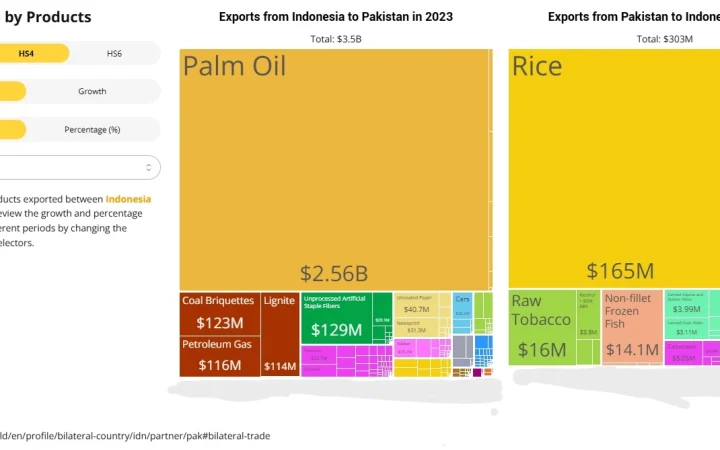 5 indonesia pakistan relations