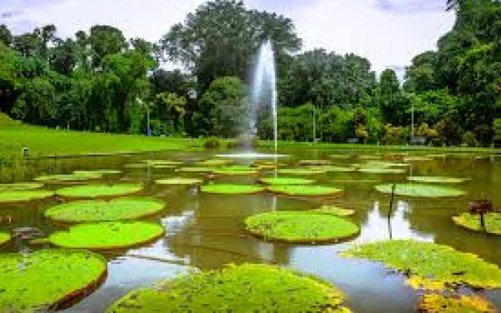 Kebun Raya Bogor
