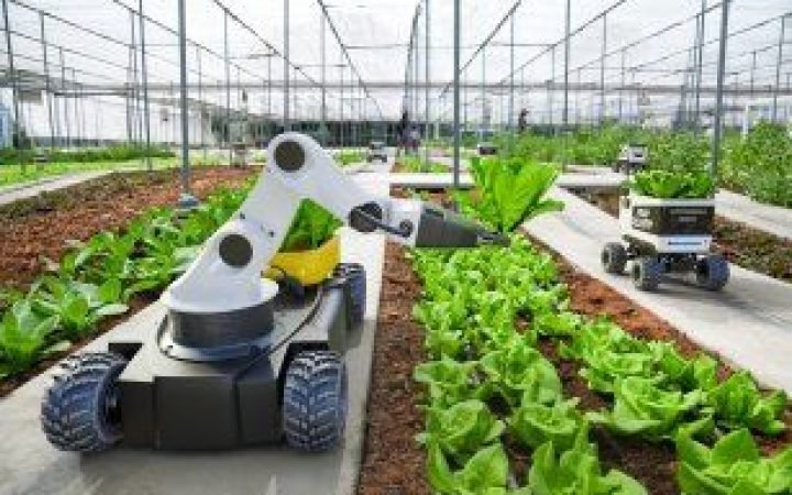 Smart Farming in Pakistan and the Rise of Agricultural Technology