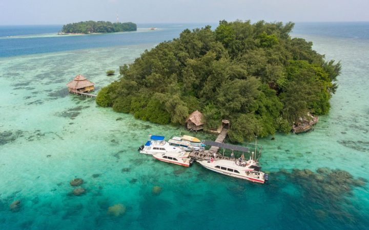 xr:d:DAFei9vpL9g:212,j:8622544253695102955,t:23091308