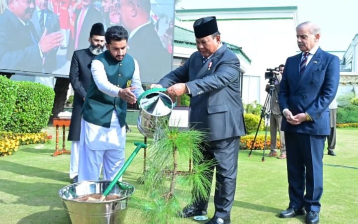 WhatsApp Image 2025-12-09 at 19.09.35