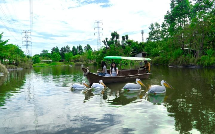 Aviary Park Indonesia