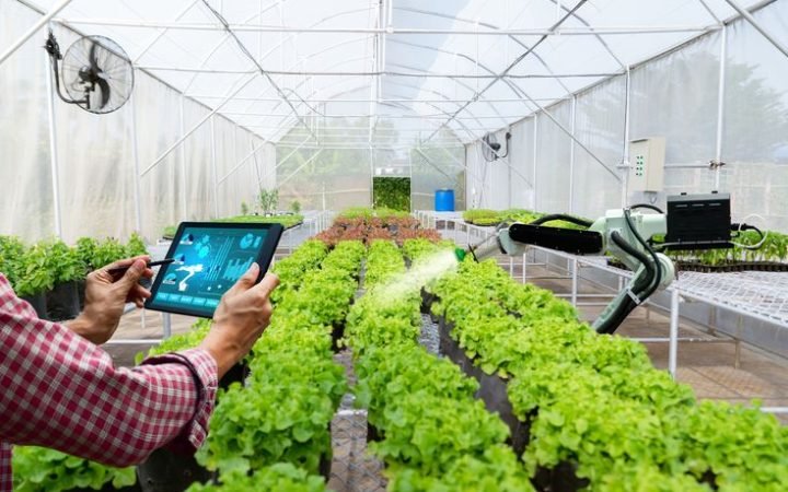 Green Tech Startups Making an Impact in Pakistan’s Digital Economy ...