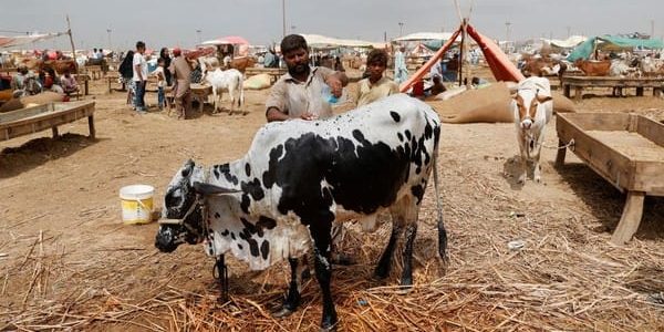 Sebuah keluarga Muslim di Pakistan sedang berkumpul merayakan Idul Adha dengan hidangan dan suasana kekeluargaan